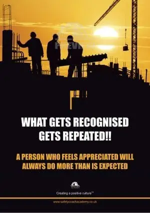 What Gets Recognised Poster
