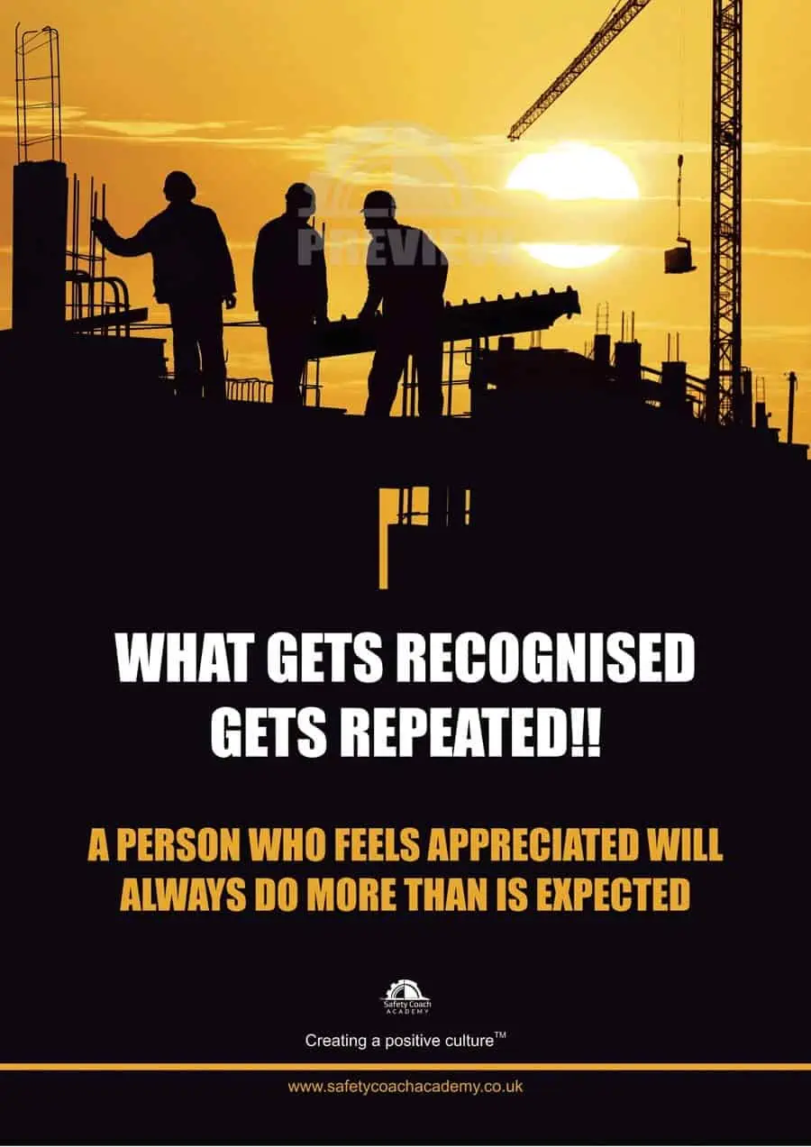 What Gets Recognised Poster